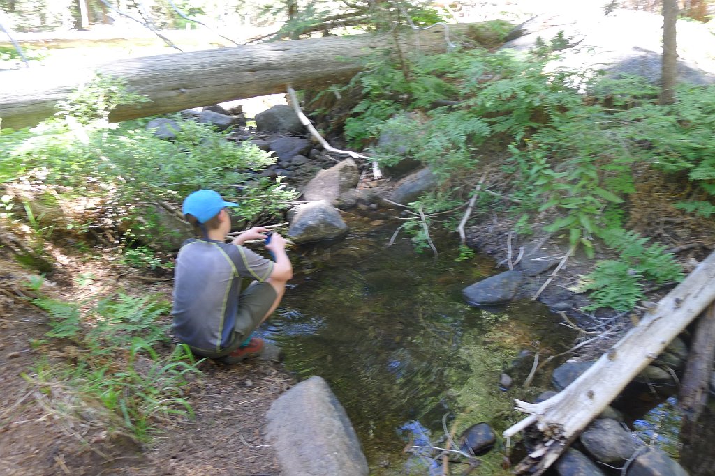 YosemiteCreek 080